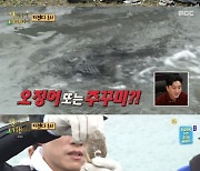 '안다행' 허재, 갑오징어 수확에 기쁨 "쌓였던 피로 날아가" [별별TV]