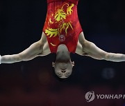 BRITAIN ARTISTIC GYMNASTICS