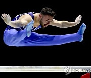 BRITAIN ARTISTIC GYMNASTICS