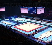 BRITAIN ARTISTIC GYMNASTICS