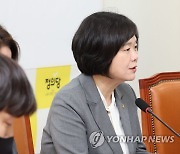 상무집행위원회에서 발언하는 이정미 대표