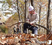 남산 40배 크기 숲 조성한 SK임업