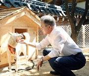 文, 파양선언 하루만에…풍산개 '곰이·송강' 정부에 인도