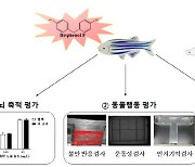 플라스틱 첨가제 대체제 `비스페놀F`도 신경계 교란 일으킨다