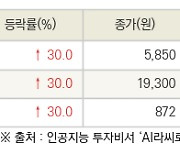 [fnRASSI]오늘의 상한가, 엔비티 30.0% ↑