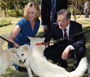 문 전 대통령 측 풍산개 반환... 여권 '사룟값 아끼려' 공세에 "저열한 프레임"