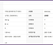 [단독] GS건설表 승강기, 인천 꼬마빌딩 상륙…작년 말부터 설치·운행