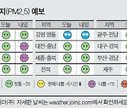 [오늘의 날씨] 11월 8일