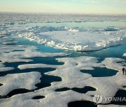 “30년 뒤 북극해에서 여름철엔 얼음 볼수 없다”