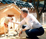 홍준표 “김정은에 받은 풍산개 이제 쓸모 없어졌나...개 3마리도 건사 못하면서 어떻게 통치했나”