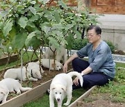 文측, 김정은 풍산개 2마리 정부에 인도...검진 후 거처 찾을 듯