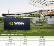 결국 ‘미국 증시’가 답? 엔비디아·AMD·마벨·레티스 ‘입질’할 때