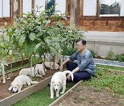 정진석, 文 풍산개 반환 논란에 "개들 버리지 말라"