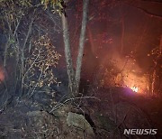 과천 관악산 불 3시간여 만에 진화 …인명피해 없어(종합)