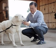 BBC “‘김정은의 선물’ 포기하는 문재인 전 대통령”