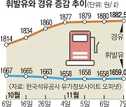 경유값의 배신, 디젤차의 눈물