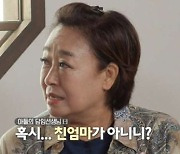 혜은이 "子 담임선생님이 친모 맞냐고 물어…너무 밉더라" (같이삽시다3)[종합]