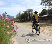 대전·충남·세종 아침부터 차차 맑아져…한낮 18∼19도