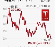 [그래픽] 테슬라 주가 추이