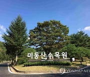 충북 미동산수목원 입장료 1년만에 폐지