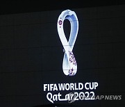 World Cup Qatar Gay Criticism