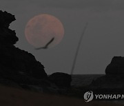 AUSTRALIA NATURE LUNAR ECLIPSE