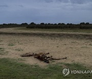 APTOPIX COP27 Spain Climate Drying Wetlands