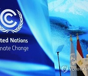 COP27 Climate Summit