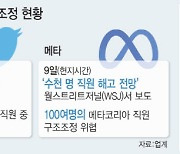 트위터·메타 발 ‘감원 칼날’…韓 스타트업도 덜덜