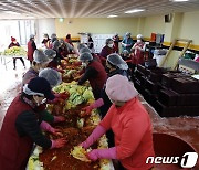 단양은 지금 '소외이웃' 1000가구에 전달할 사랑의 김장나누기 한창