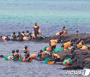 제주도 제안 '국가중요어업유산 축전' 내년 열리나