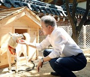 文 풍산개 파양 논란 입 열자… 與 “비정하다, 국민에게 큰 상처”