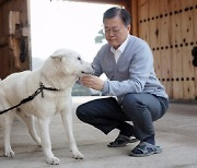 文 "이제 그만들 합시다…내가 입양할 수 있다면 대환영"