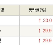 [fnRASSI]오늘의 상한가, 동아화성 30.0% ↑