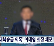 '쌍방울-아태협 대북송금 의혹' 아태협 회장 검찰 체포