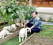 文 "풍산개 무상 양육, 고마워해야"…與 "해선 안될 말"