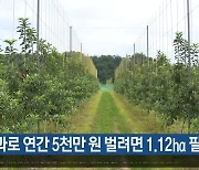 “사과로 연간 5천만 원 벌려면 1.12ha 필요”