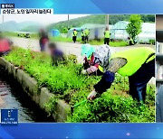 [풀뿌리K] “순창군, ‘공공형 노인 일자리’ 실태와 계획은?”