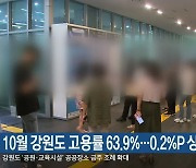 10월 강원도 고용률 63.9%…0.2%P 상승