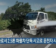 제주 평화로서 2.5톤 화물차 단독 사고로 운전자 사망