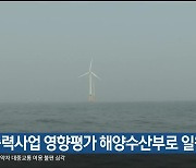 해상풍력사업 영향평가 해양수산부로 일원화