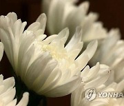 원룸서 혼자 살던 20대 탈북주민 숨진 채 발견…'약봉지 가득'