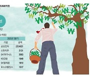 KB·신한도 주주환원 확대 … 상장사 3분기 배당 22% 늘었다