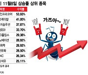 '태조이방원 VS 네카오'…미스터리 V자 반등장 승자는?