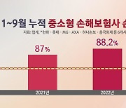 '車 보험료 내려? 말아?'…중소형 손보사, 손해율 악화에 '전전긍긍'