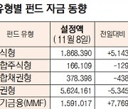 [데이터로 보는 증시]유형별 펀드 자금 동향(11월 8일)