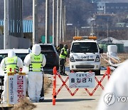 청주 메추리 농장서 고병원성 AI…농장 확진사례 총 8건