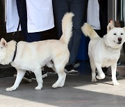 추경호 "곰이·송강 양육비 지급 적정성 떠나 현재는 불가"