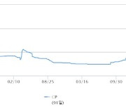 단기자금 '빙하기'에 주목받는 안전자산…CP 5%대 추가상승 vs 국고채 금리 하락