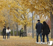 [오늘날씨] 중부지방 오전 짙은 안개…수도권 미세먼지 '나쁨'